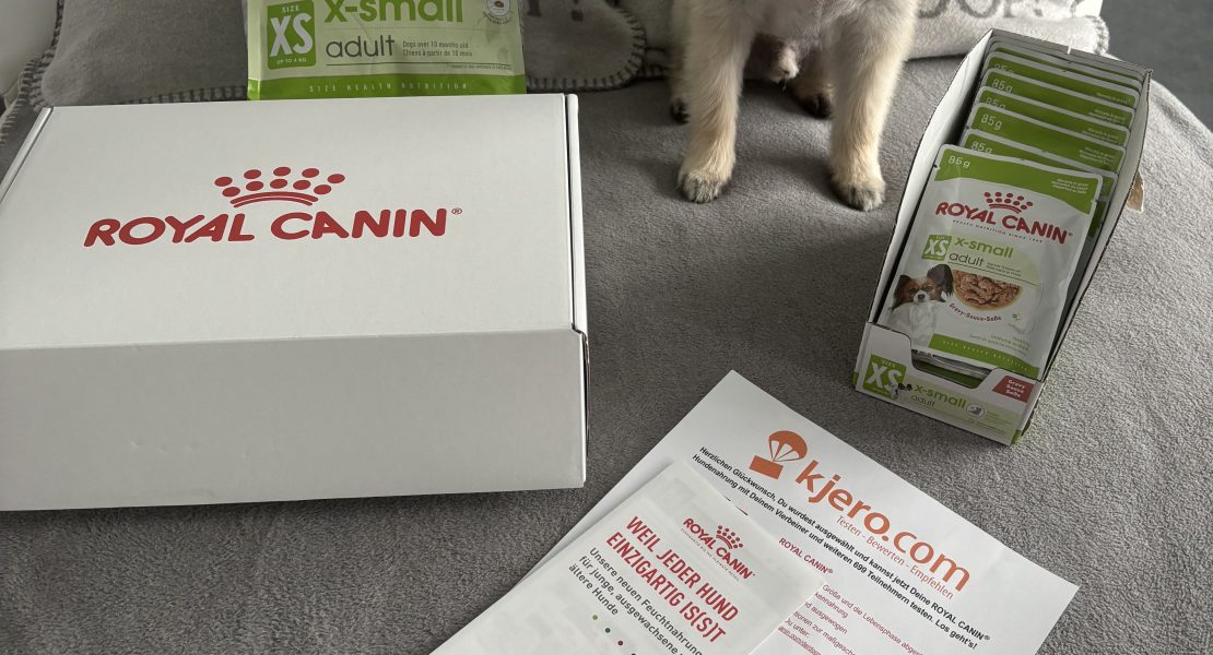 Zwergspitz Püppy mit Royal Canin X-Small Adult Testpaket