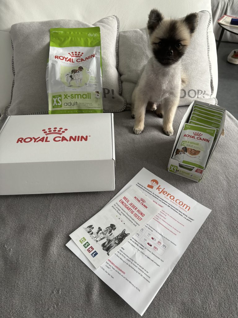 Zwergspitz Püppy mit Royal Canin X-Small Adult Testpaket