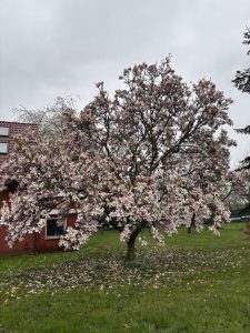 Alltag im Einsatz Bundeswehr Familie Zuhause Kinder Alltag