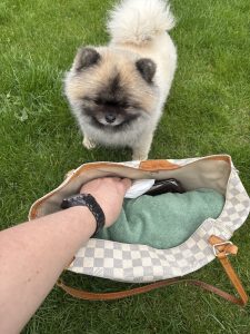 Always Discreet praktisch für unterwegs in der Tasche