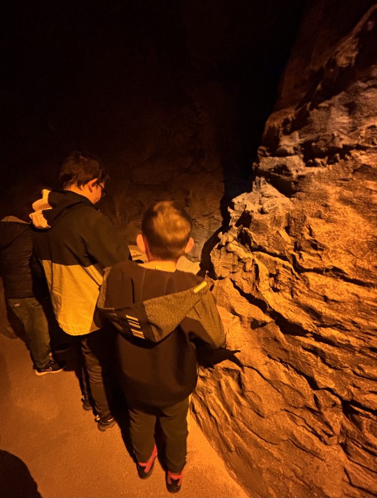 Kinder entdecken Fossilien bei der DinoXperience Königswinter und legen Fundstücke frei