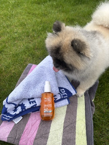 Garnier Ambre Solaire Sensitive Expert 50+ mit Handtuch und Hund im Garten