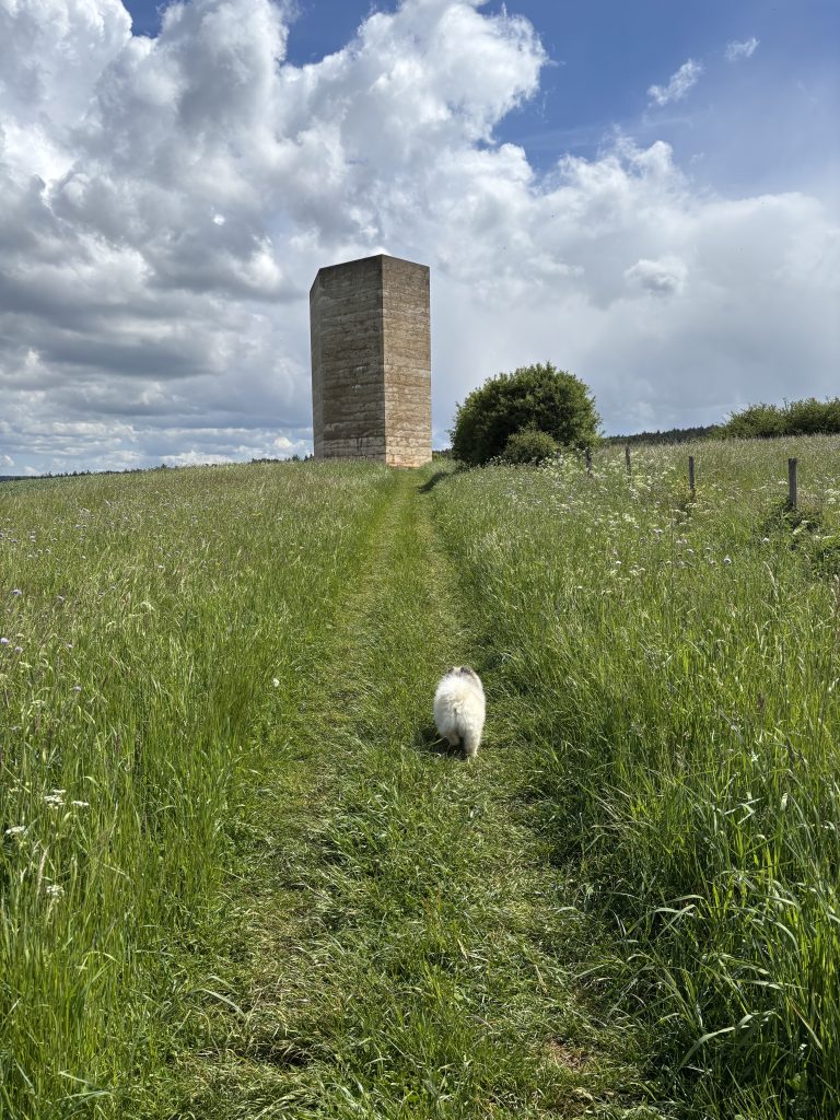 Bruder Klaus Kapelle in der Ferne zwischen grünen Feldern in Mechernich
