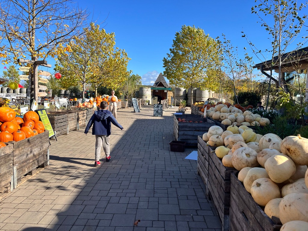 Krewelshof nähe Euskirchen Gelände Herbst Kürbis
