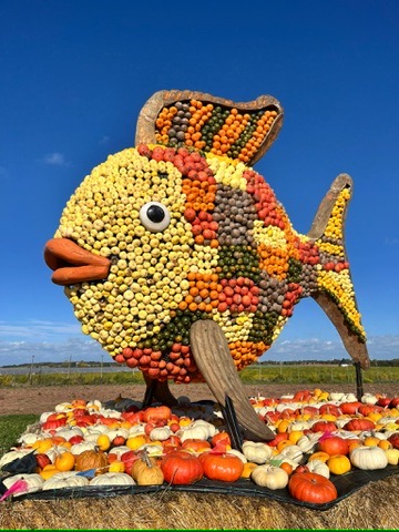 Kürbis Figur Fisch Krewelshof nähe Euskirchen