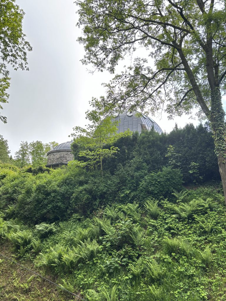 Nibelungenhalle zwischen Bäumen in Königswinter