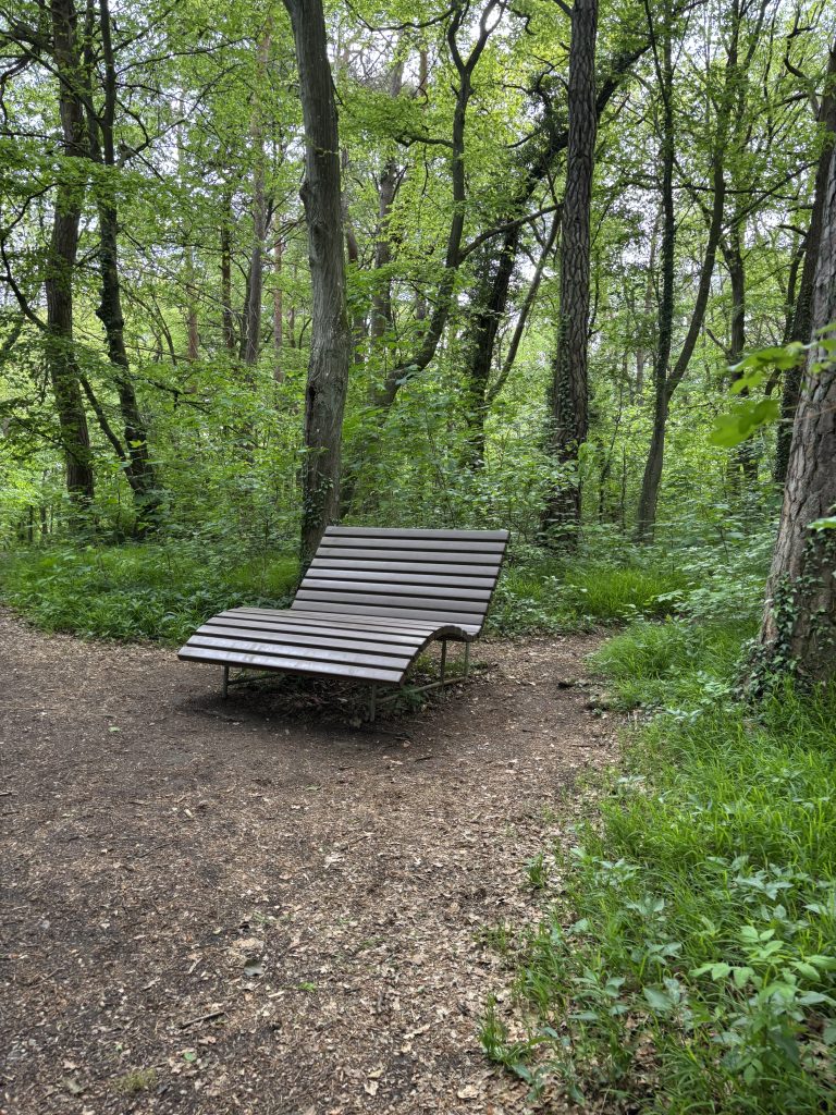 Bank im Wald an der Kakushöhle Mechernich