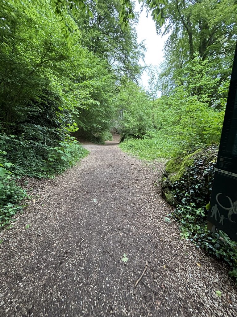 Waldweg an der Kakushöhle Mechernich