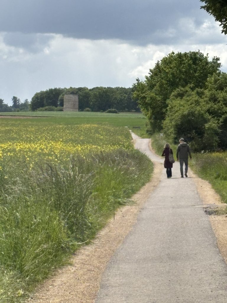 Befestigter Weg durch Felder zur Bruder Klaus Kapelle in Mechernich