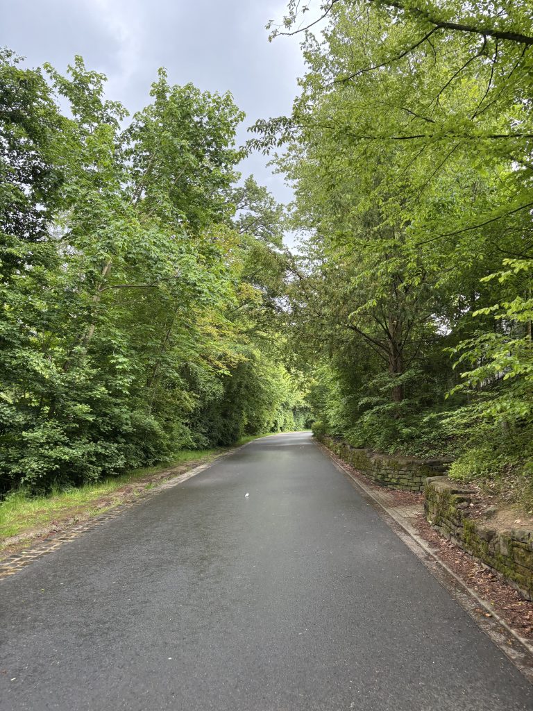 Asphaltierter Weg zur Nibelungenhalle Königswinter